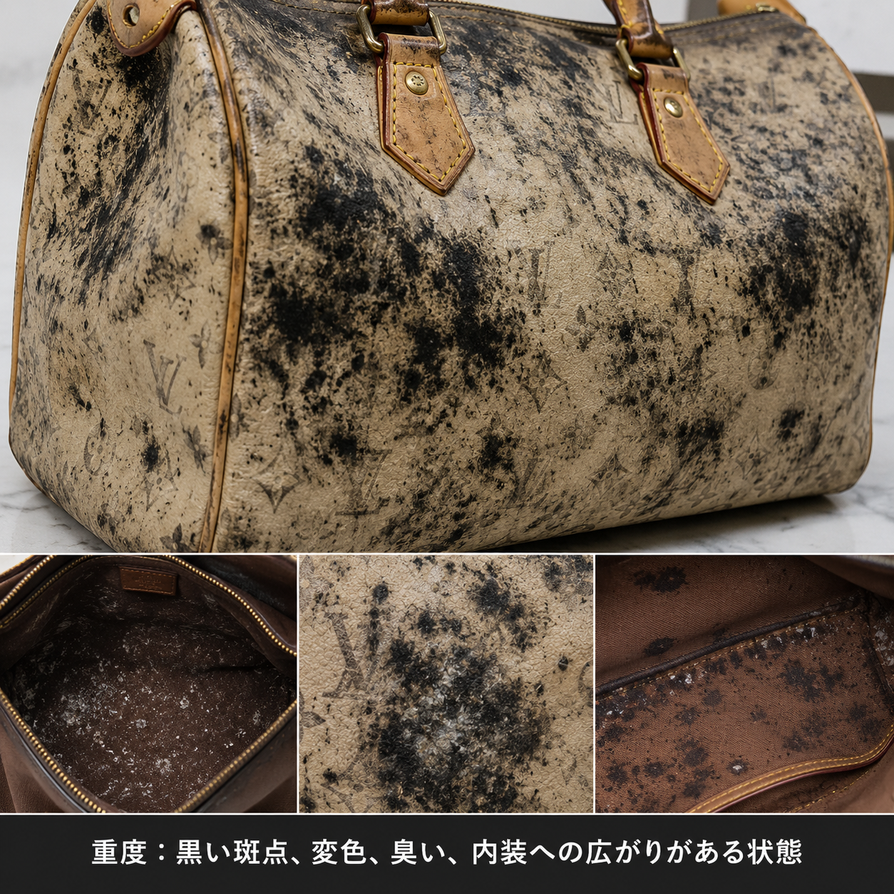 黒い斑点と変色を伴う重度のバッグのカビ